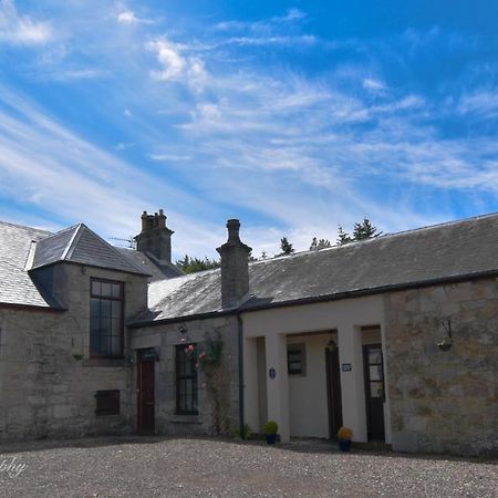 Clarke Cottage Guest House Ντανφέρμλιν Εξωτερικό φωτογραφία